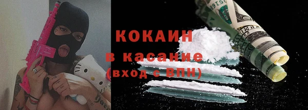 гидра Бикин