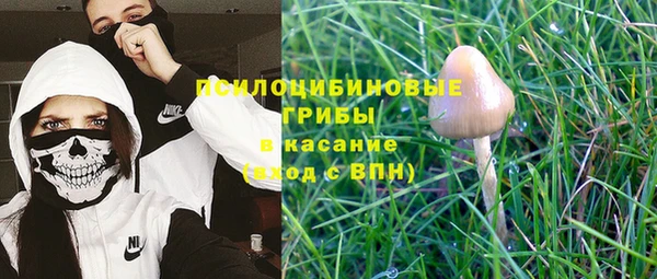 mix Билибино