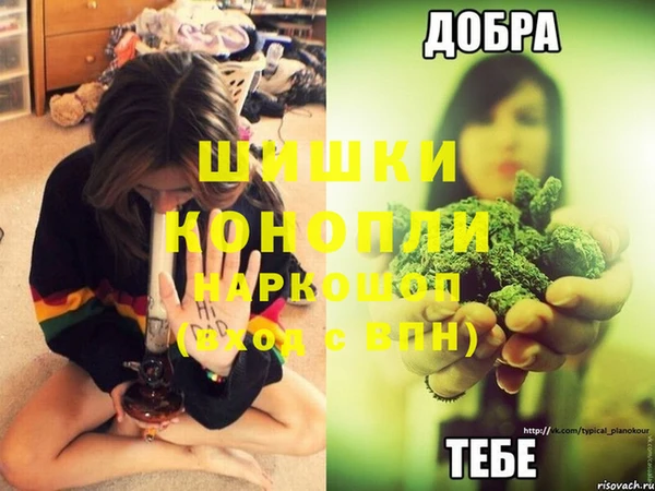 гидра Бикин