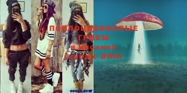 mix Билибино