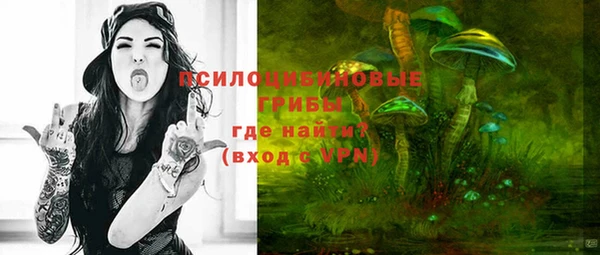 mix Билибино