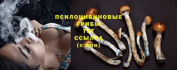 mix Билибино