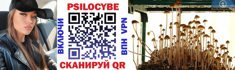 Галлюциногенные грибы прущие грибы  Кола 